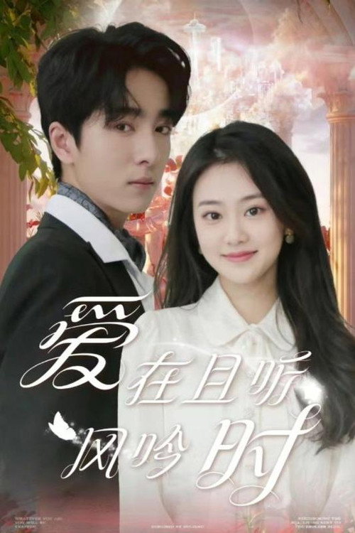 爱在且听风吟时海报