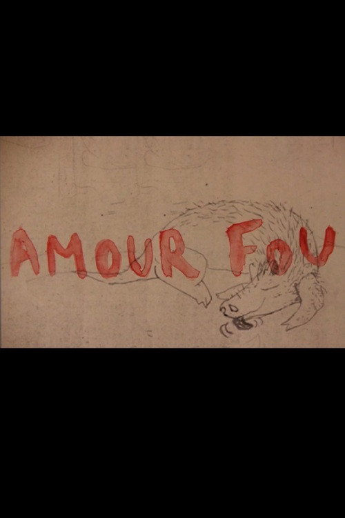 Amour fou电影海报
