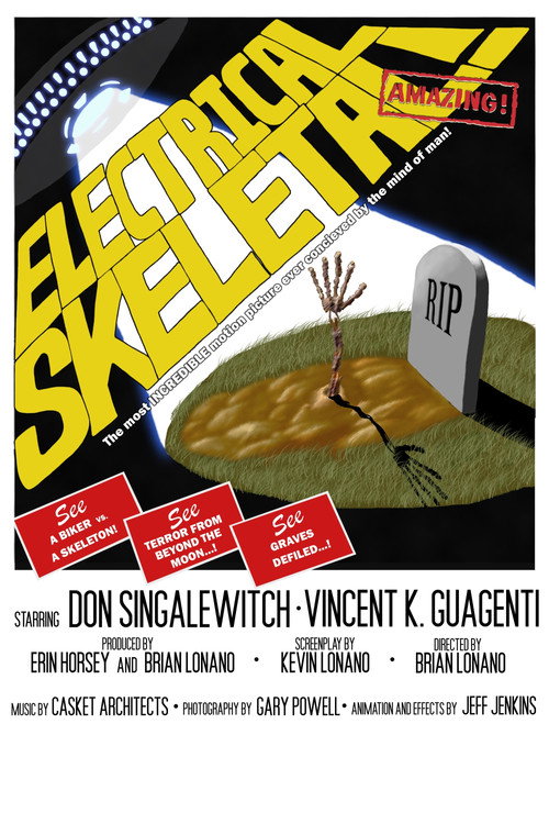Electrical Skeletal poster 2
