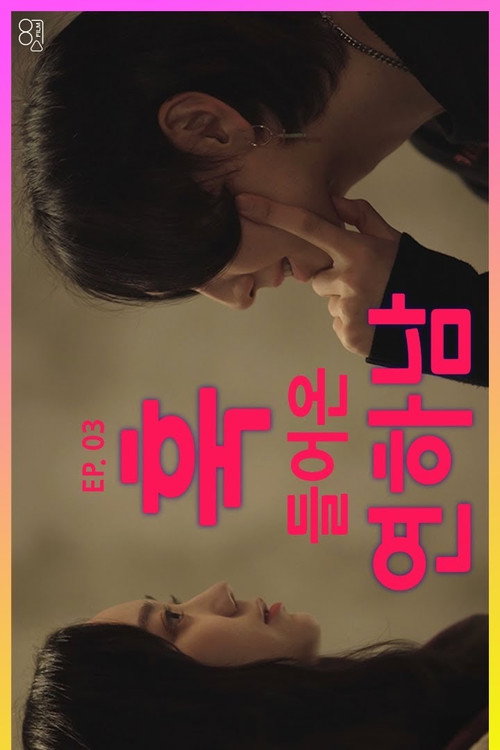나너랑电影海报