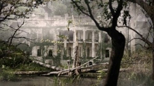 banner card