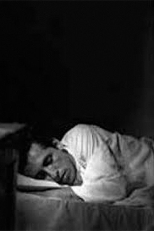 Long Sleepless Nights poster 3