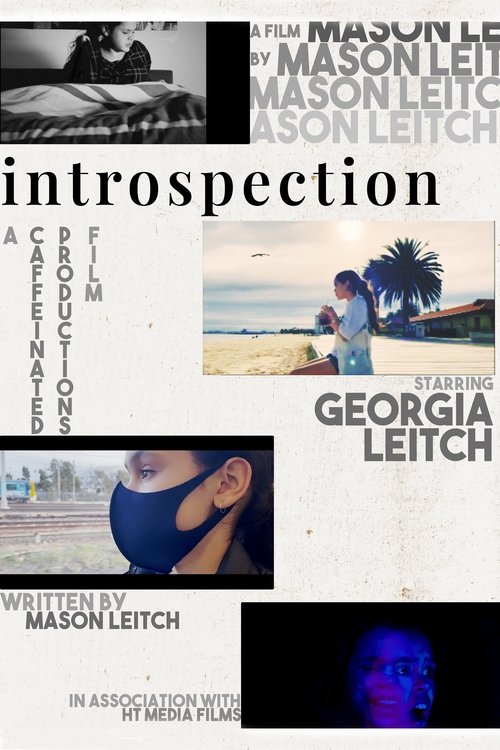 Introspection