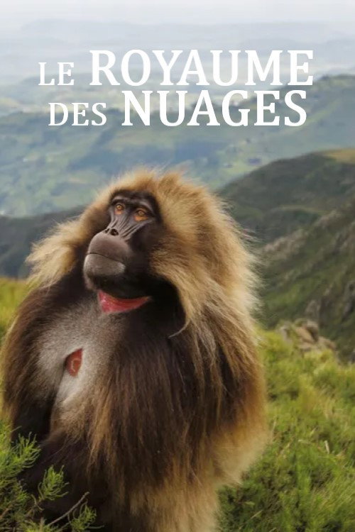 Le royaume des nuages