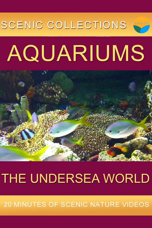Serenity Channel - Aquariums电影海报