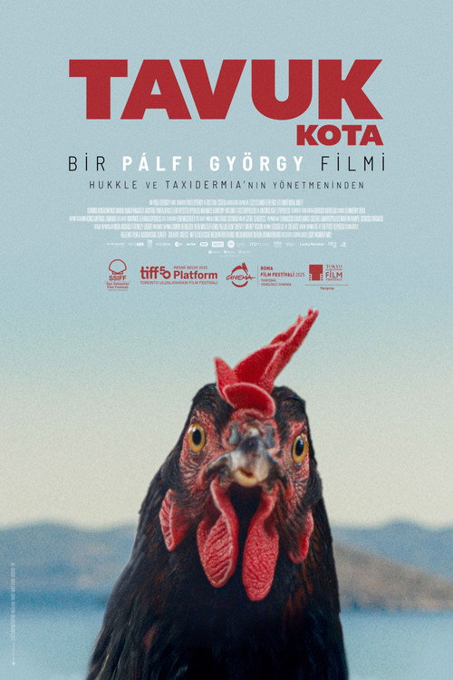 Κότα