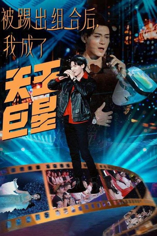 被踢出组合后，我成了天王巨星电影海报