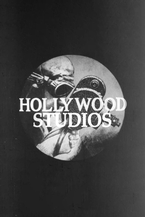 Hollywood Studios Poster