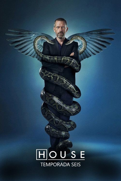 Temporada 6