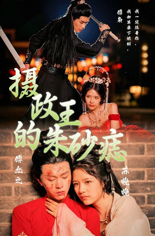 摄政王心头朱砂痣电影海报