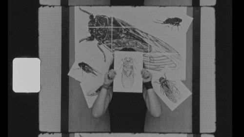 Backdrop
