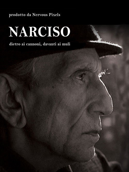 Narciso, Dietro i Cannoni, Davanti ai Muli