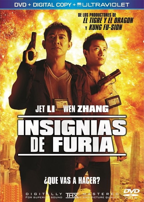Poster of Insignias De Furia