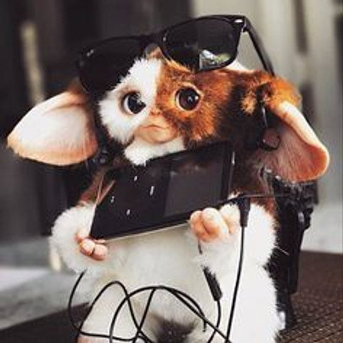 Gremlin32138920