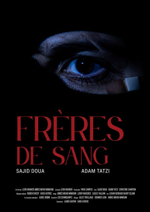 FR&Egrave;RES DE SANG电影海报