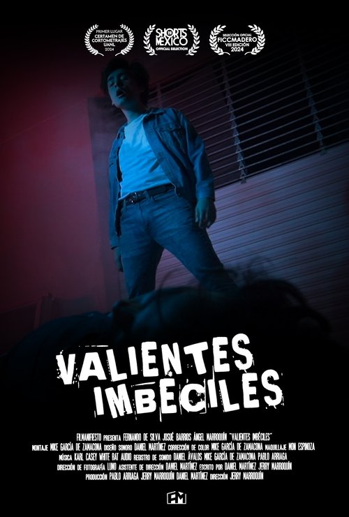Valientes Imbéciles poster