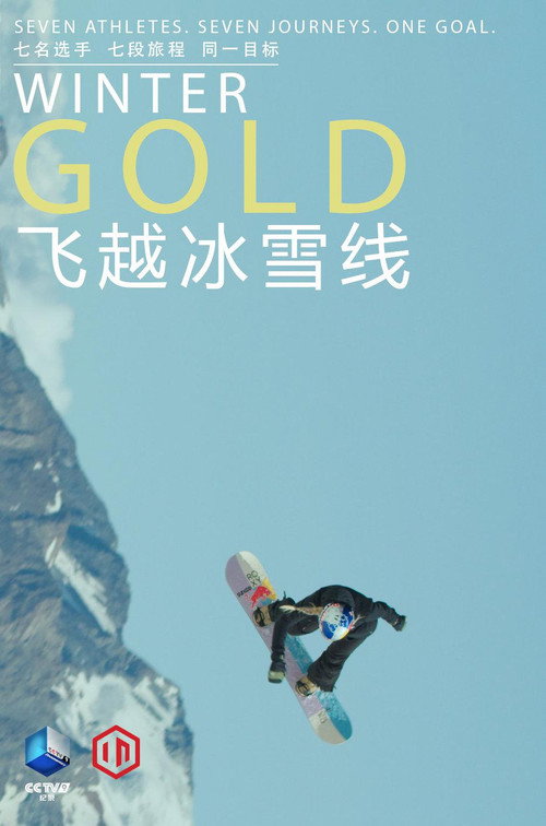 飞越冰雪线电影海报