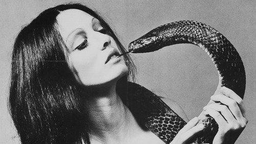 Backdrop