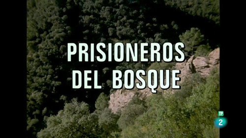 Prisoners of the Forest I