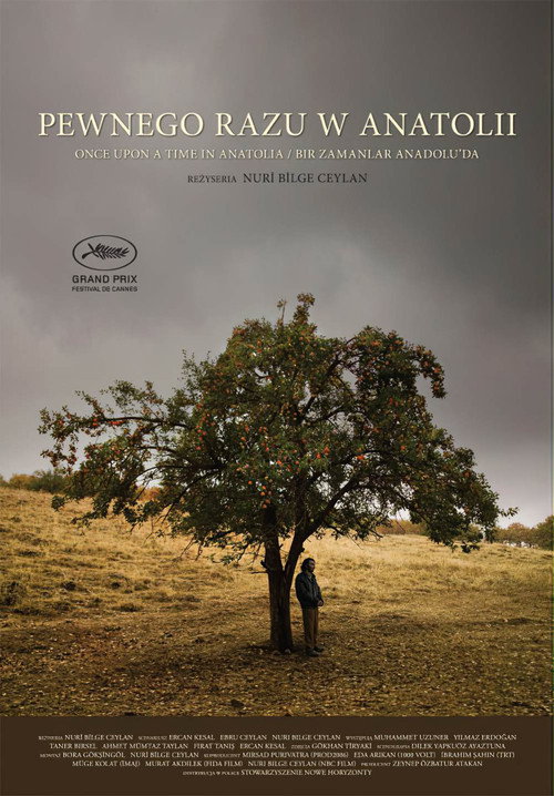 Pewnego razu w Anatolii (2011)