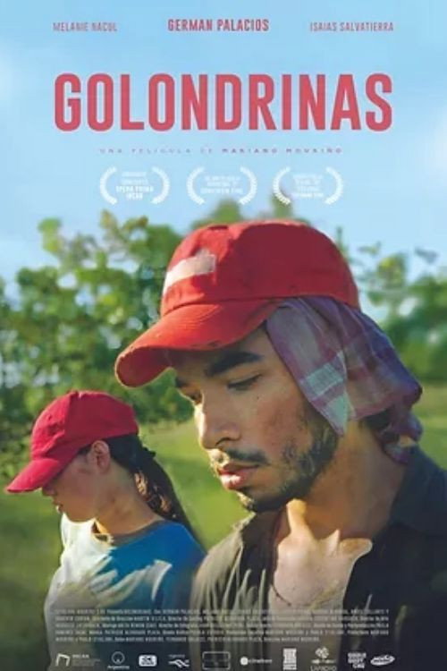 Golondrinas poster 2