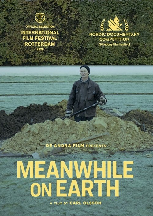 Poster of Meanwhile on Earth