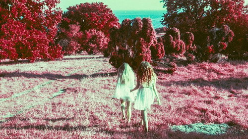 Steven Wilson – 4½ (2016) Watch Full Movie Streaming Online