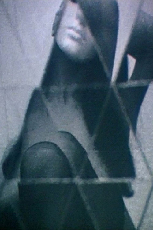 1969 Exhibit poster 2