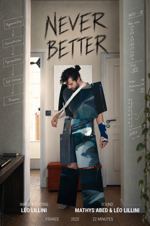 Poster for Jamais Mieux
