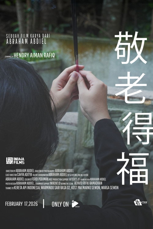 看看侧面电影海报