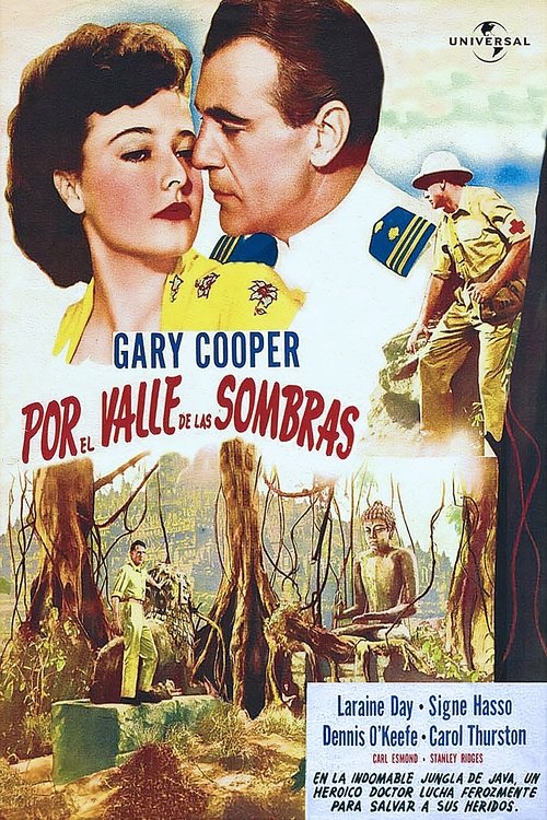 Poster of Por el valle de las sombras