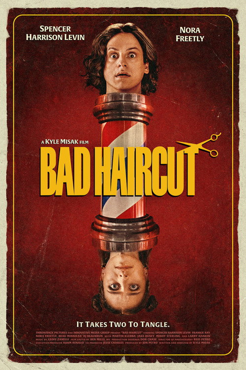 Bad Haircut's poster