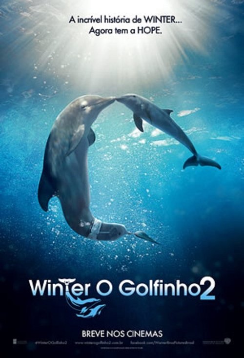 Assistir Winter, o Golfinho 2 (2014) filme completo dublado online em Portuguese