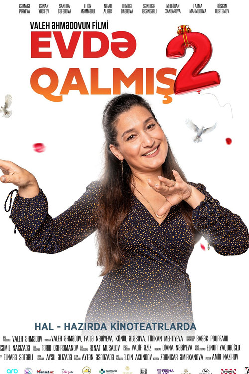 Spinster 2 poster 9