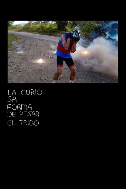 La curiosa forma de pesar el trigo Poster