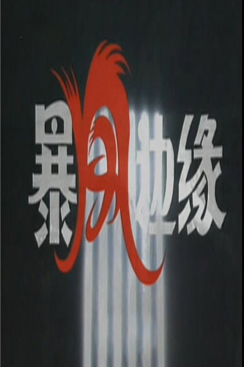 暴风边缘电影海报