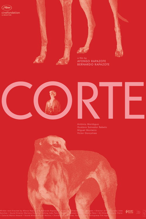 Corte poster 2