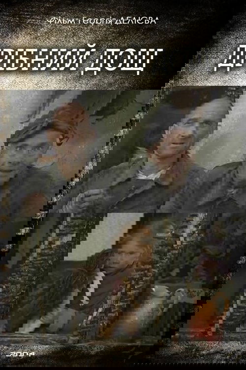 Light Rain Poster