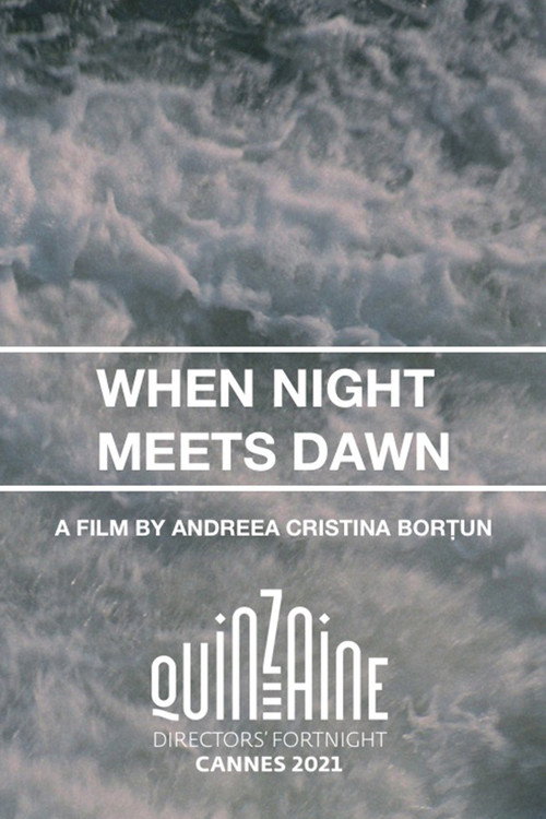 When Night Meets Dawn poster 3