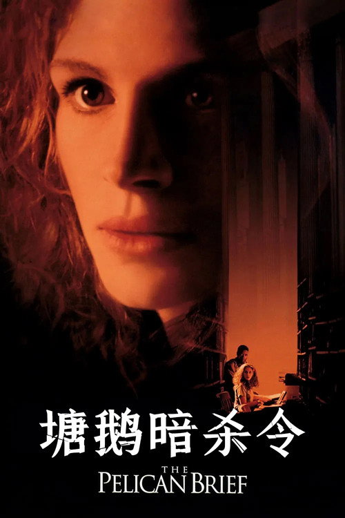 塘鹅暗杀令电影海报