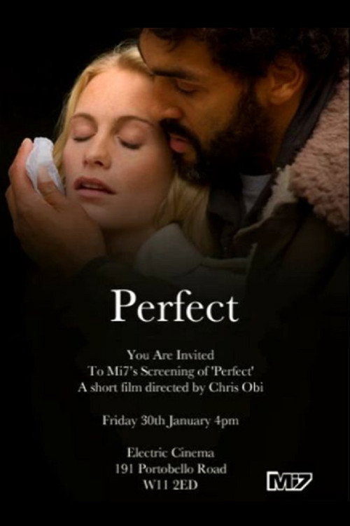 Perfect poster 2