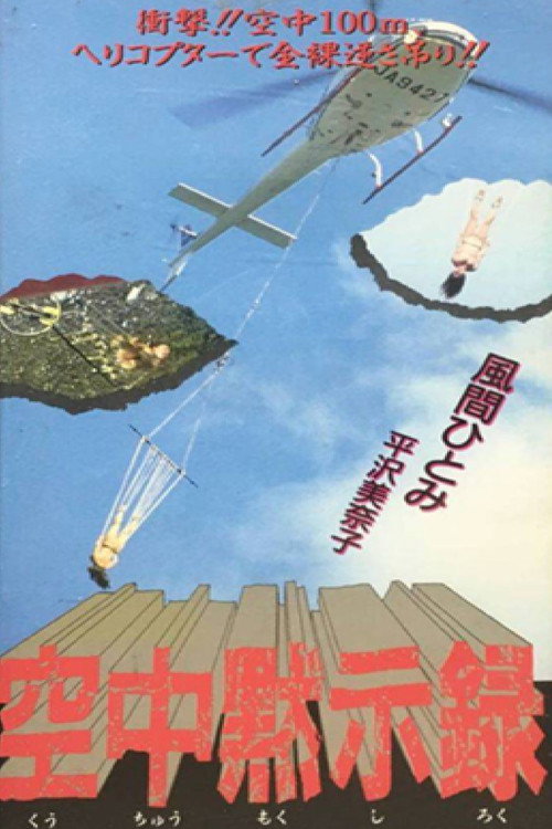 Apocalypse in the Sky Poster