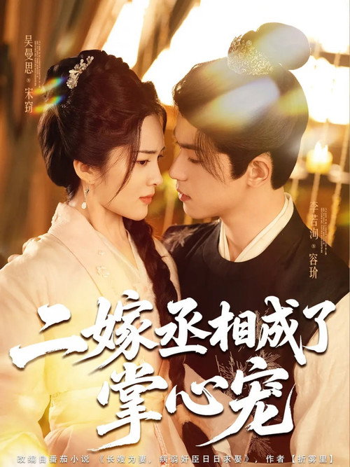 二嫁丞相成了掌心宠电影海报