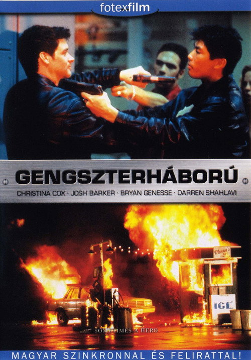 Sometimes a Hero poster 3