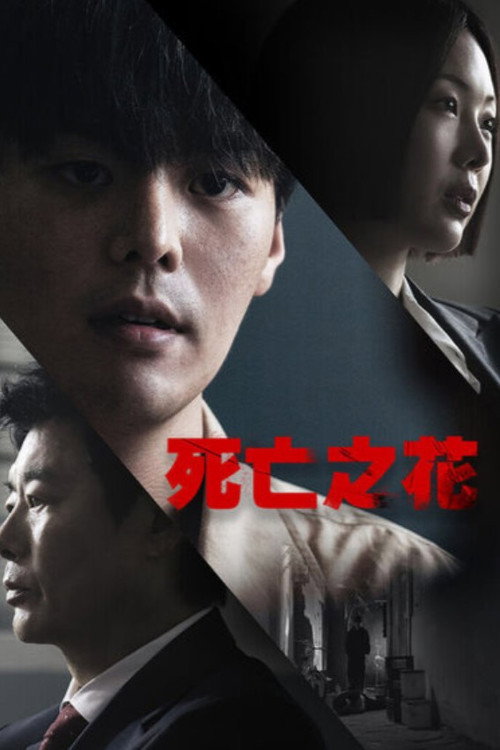 第 1 季