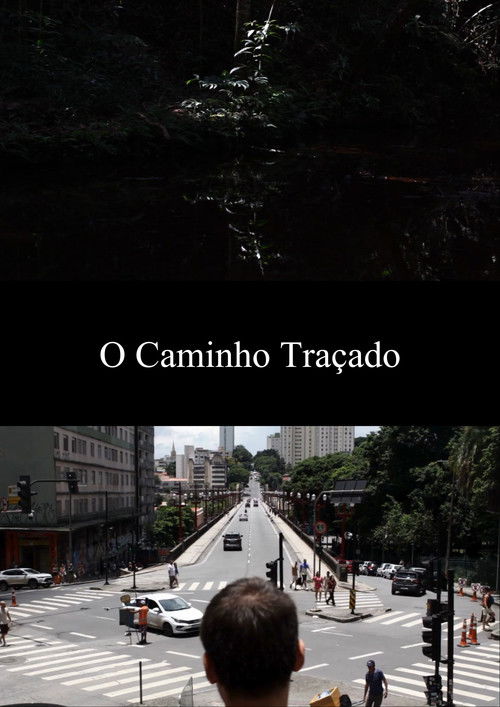O Caminho Traçado