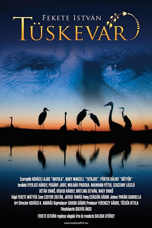 Thorn Castle (2012) فيلم كامل على الانترنت
