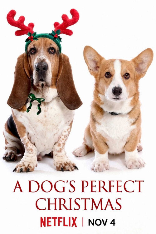 A Dog’s Perfect Christmas Poster