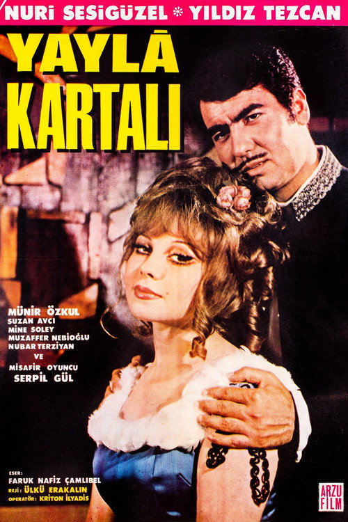 Yayla Kartalı poster 2