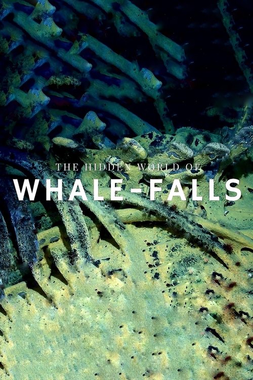 The+Stages+of+Whale+Decomposition